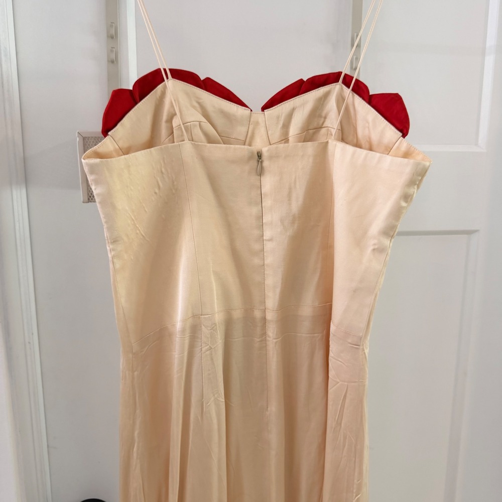 Farm Rio Rose Detailed Sleeveless Maxi Dress Rose S Drama Romantic Statement - Picture 5 of 9